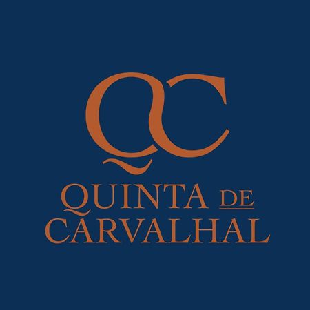 Quinta De Carvalhal - Casa Da Vinha Villa Guimarães Exterior foto