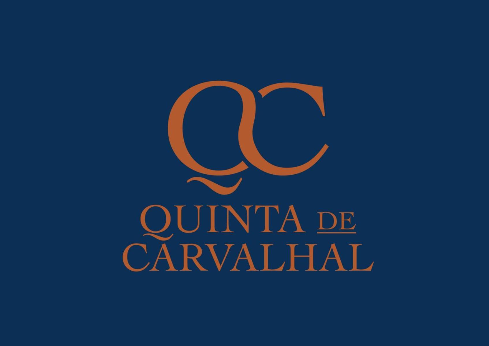 Quinta De Carvalhal - Casa Da Vinha Villa Guimarães Exterior foto