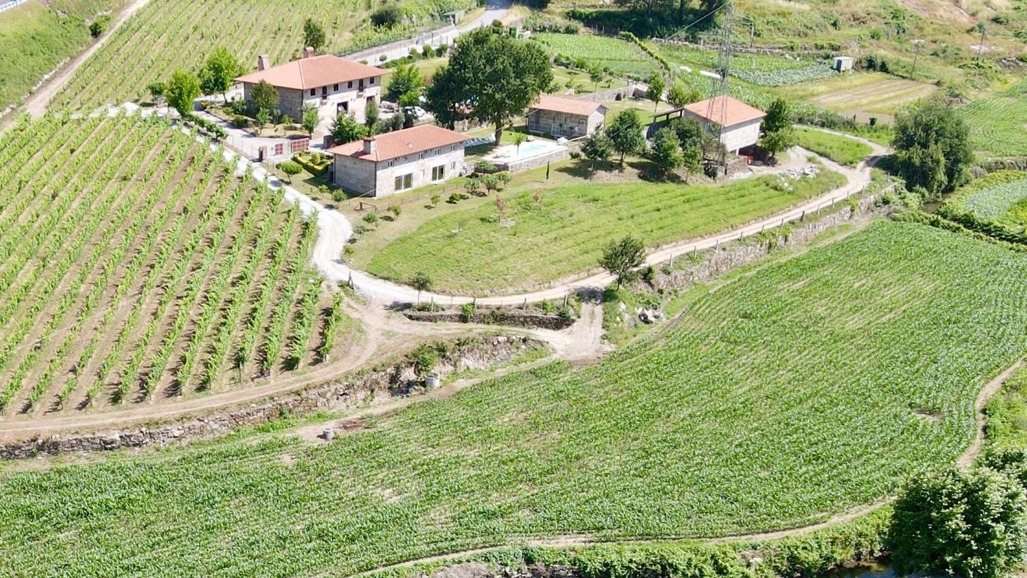 Quinta De Carvalhal - Casa Da Vinha Villa Guimarães Exterior foto